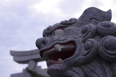 眼　力