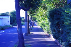 dc100108