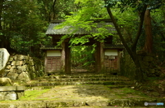 百済寺山門