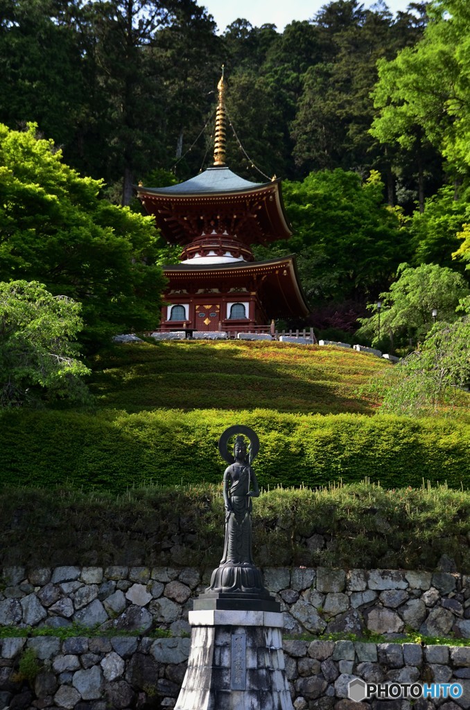 対等に
