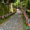 千躰地蔵