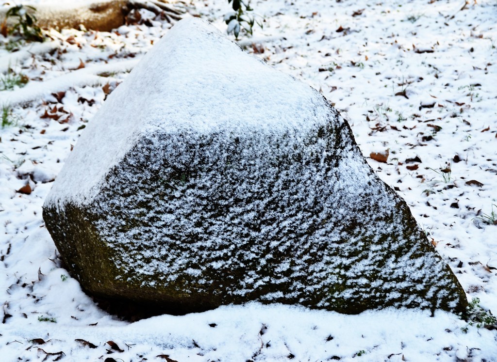 石の上にも…雪帽子