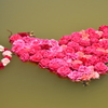 薔薇でアート１