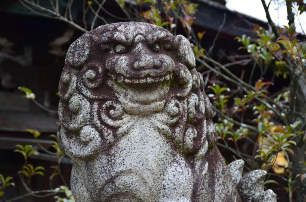 阿（あ）の獅子