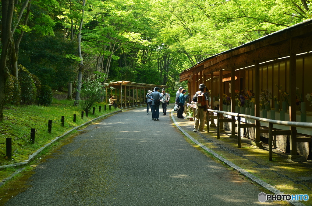 同じくこちらも人物を