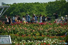 人物とのバラ園