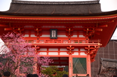 山門に梅