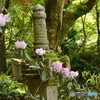 石の塔とピンクの花