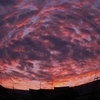 夕焼け