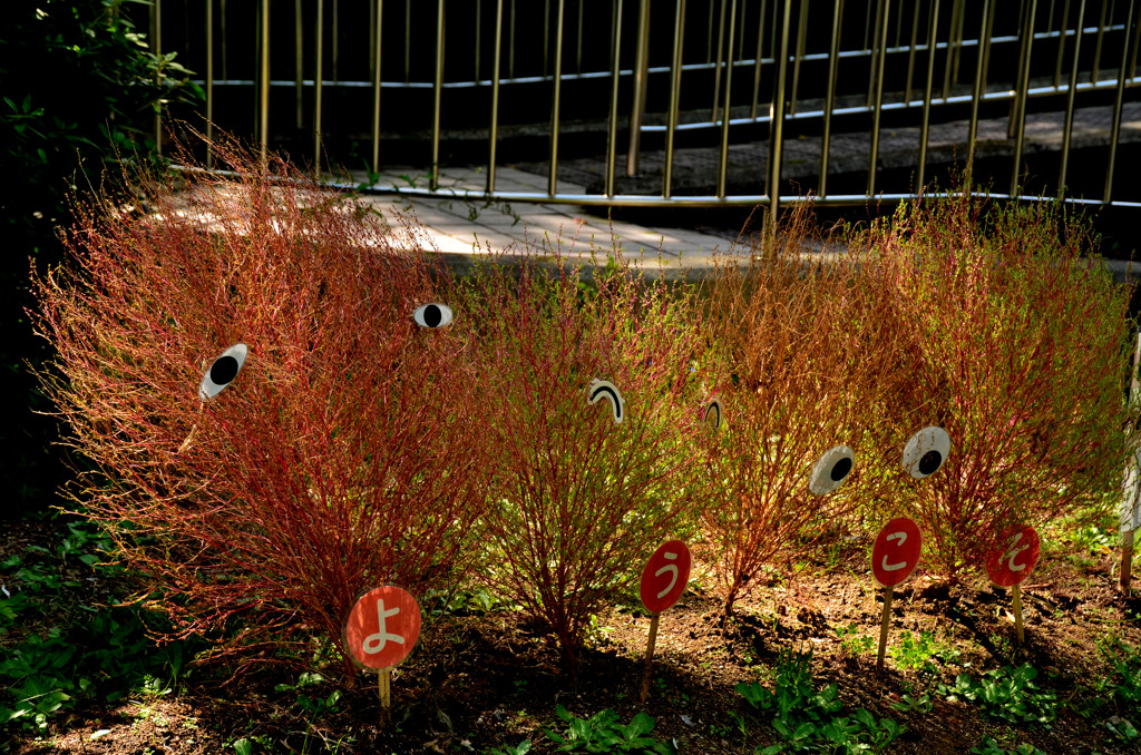 アイデア、ダー