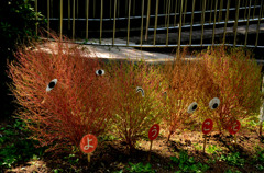 アイデア、ダー