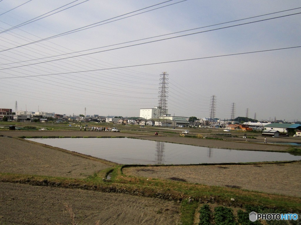 一部の水田