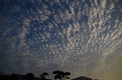 早朝の秋空