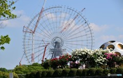 バラ園から