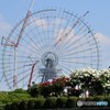 バラ園から