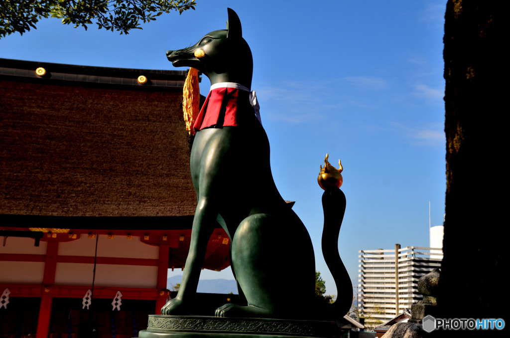 稲穂をくわえています