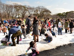 雪とたわむる