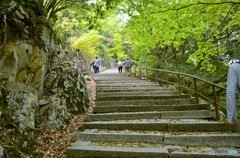 永源寺参道