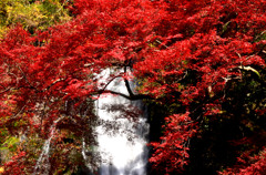 滝の一部と紅葉