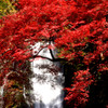 滝の一部と紅葉