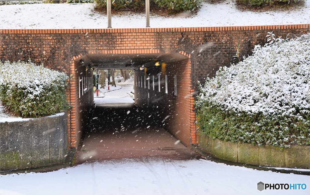 トンネルを抜ける前も雪