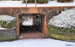 トンネルを抜ける前も雪