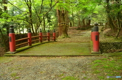 百濟寺　続き１