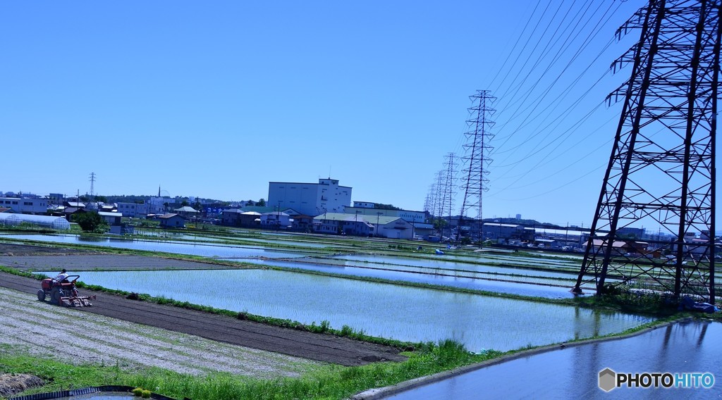 水田と送電線のある風景