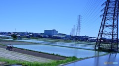 水田と送電線のある風景
