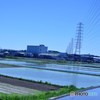 水田と送電線のある風景