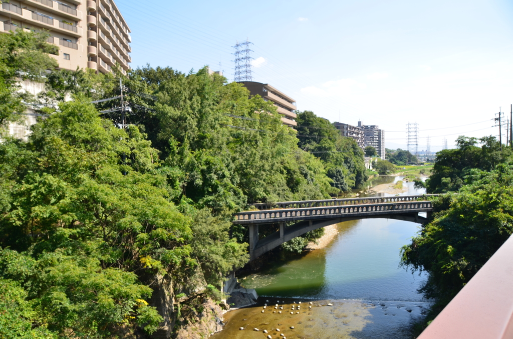 散歩路で