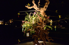 夜の生け花