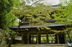 永源寺
