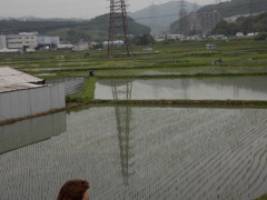 田園と鉄柱