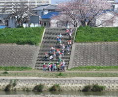 ぽかぽか陽気