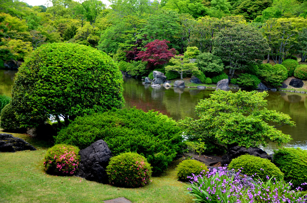 新緑風景