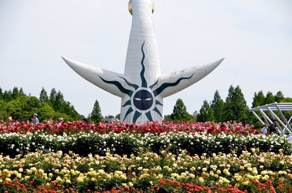 箸休め（葵祭りは又）
