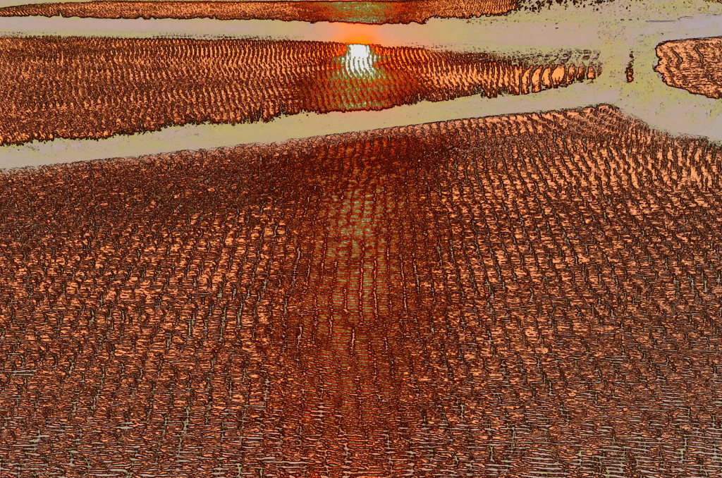 これも、お遊び