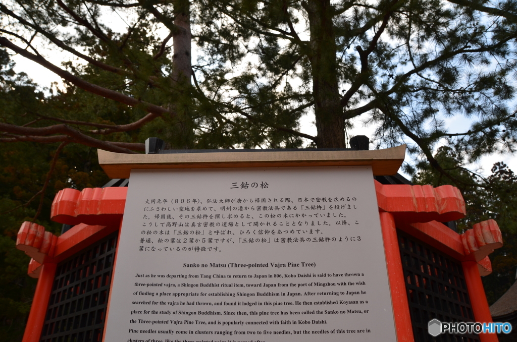 三鈷の松（さんこのまつ）