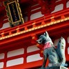狐さんオンパレードその１
