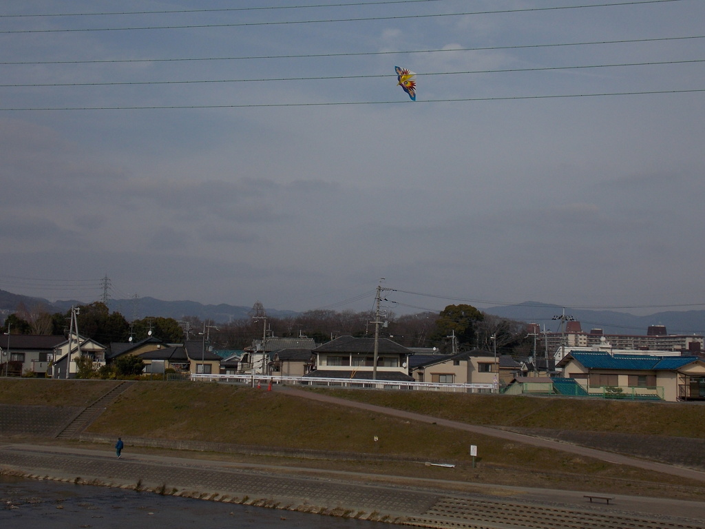 何か、飛んどる？