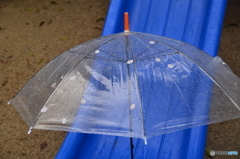 さくら傘（おまけ）