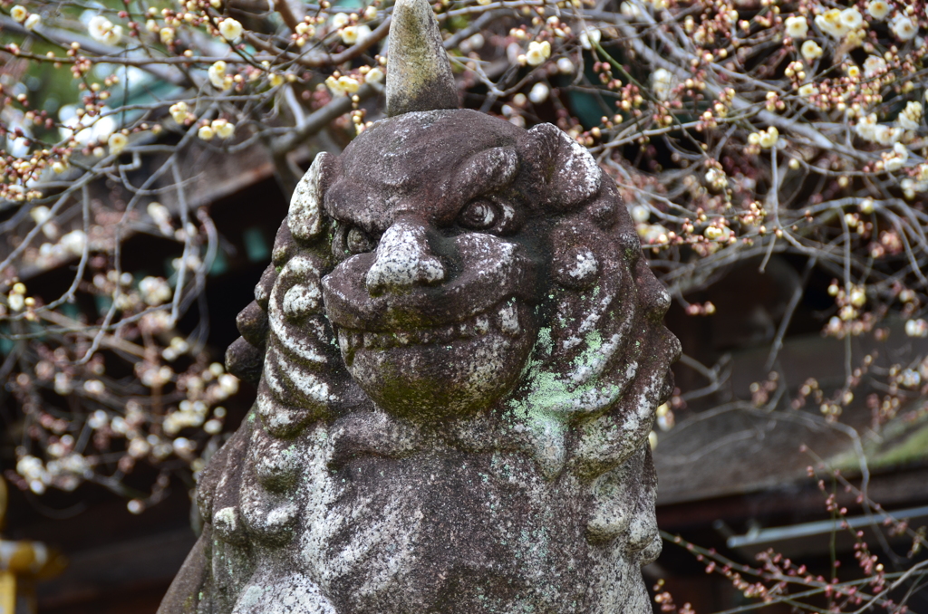 吽（うん）の獅子