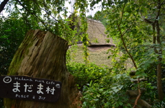 山里散策