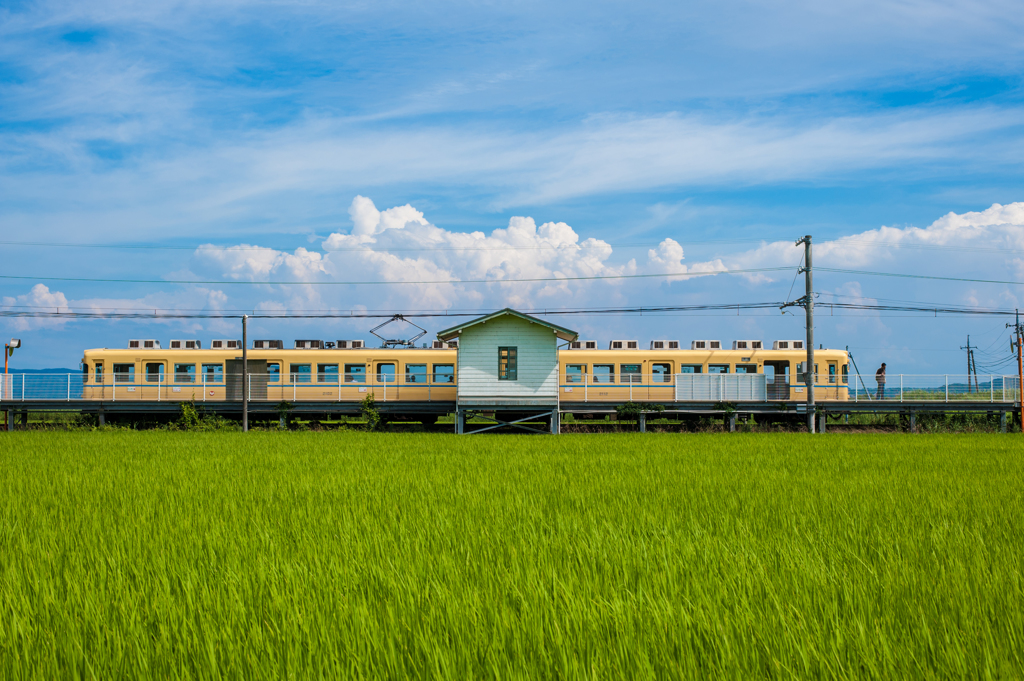 夏