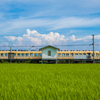 夏