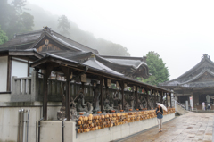 雨に煙る一畑薬師。