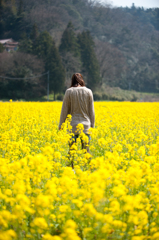 菜の花の中で。