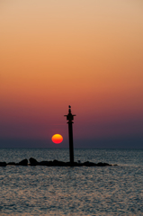 夕見鳥。