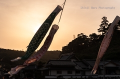 夕焼けこいのぼり。